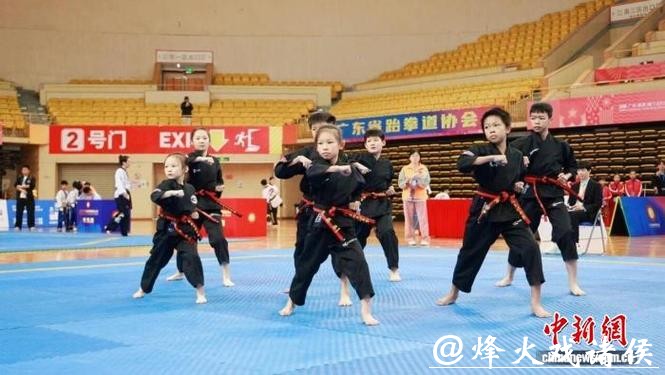 2025年广东省跆拳道联赛总决赛在佛山收官